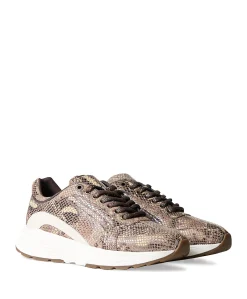Bailey dames sneakers bruin