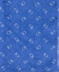 Dames sjaal blauw