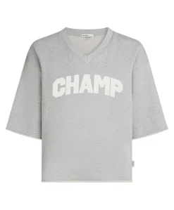 Dames sweater grijs