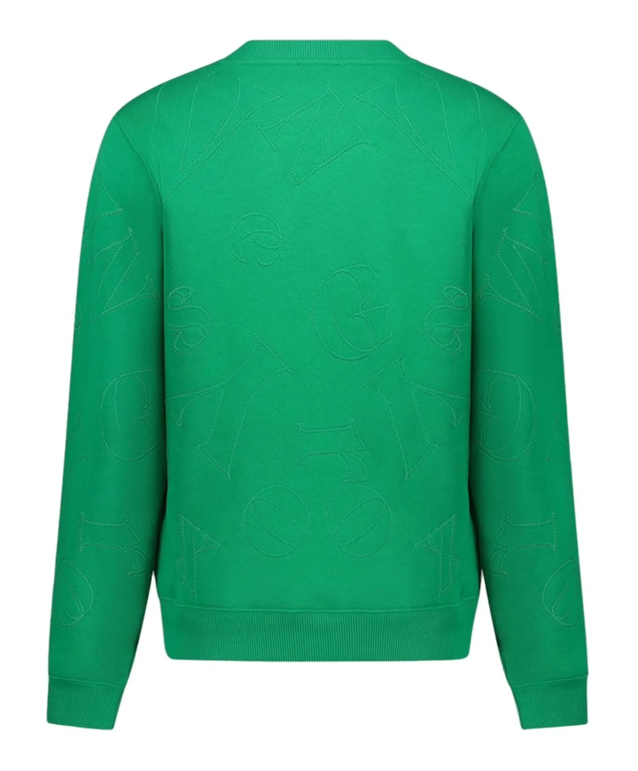 Dames sweater groen