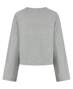 Dames trui grijs
