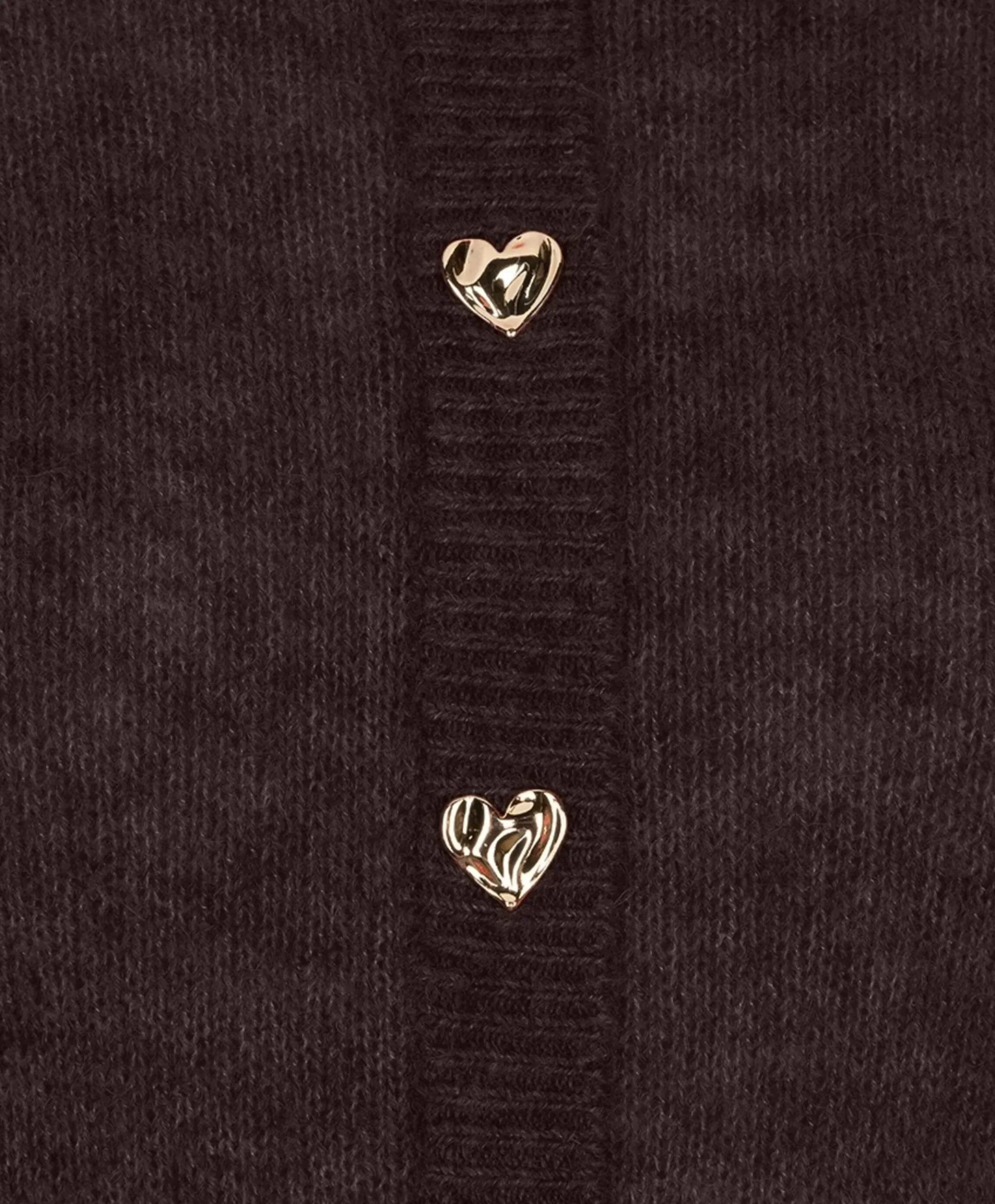 Dames vest bruin