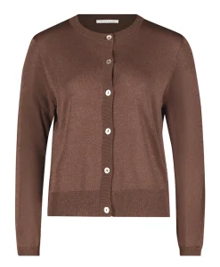 Dames vest bruin