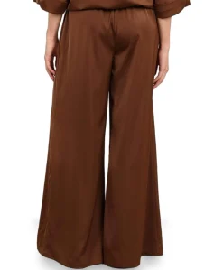 June Shiny dames broek bruin